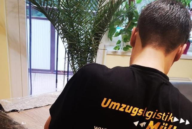 Laborumzug Striegistal stressfrei umziehen 